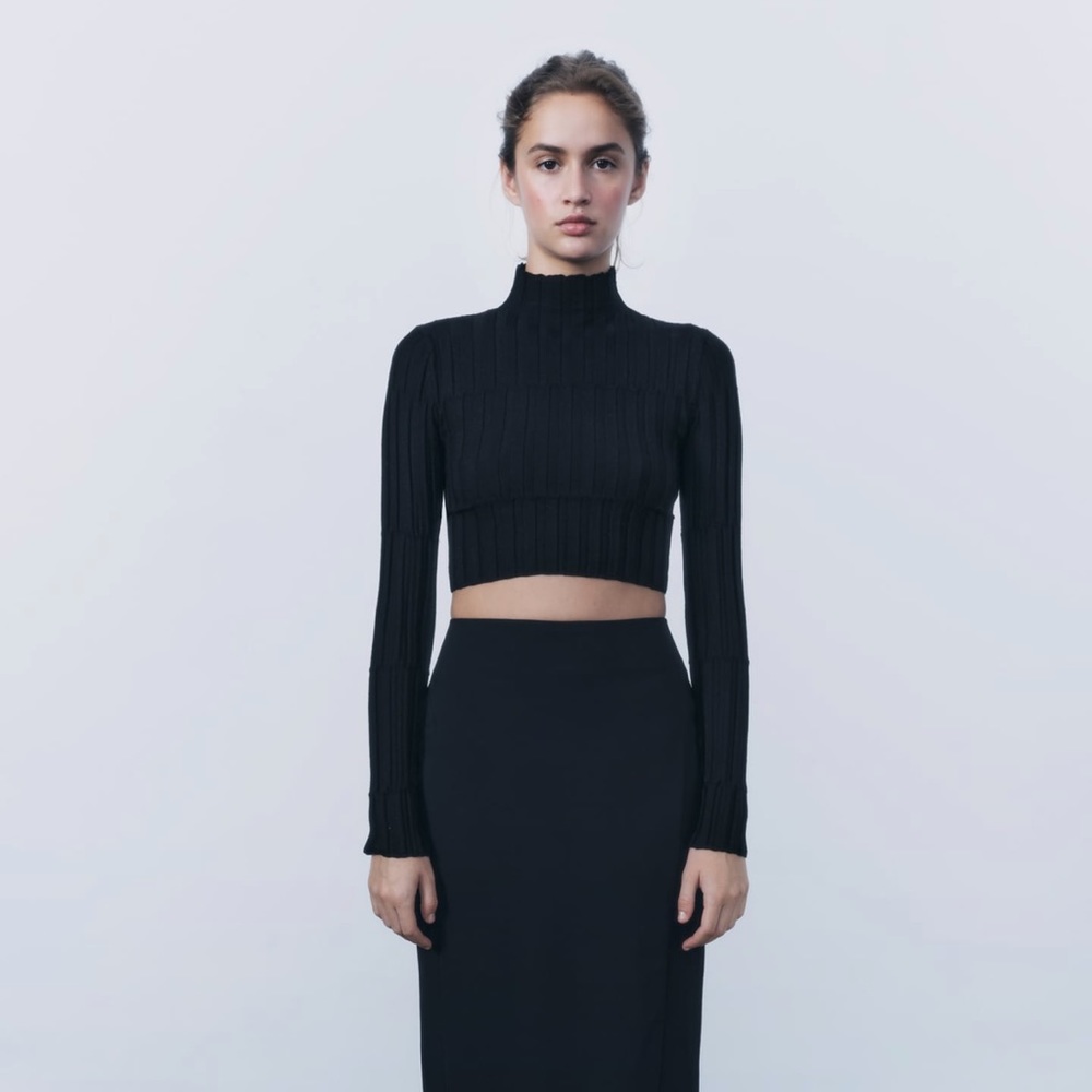 NWT crop ribbed knit sweater Zara